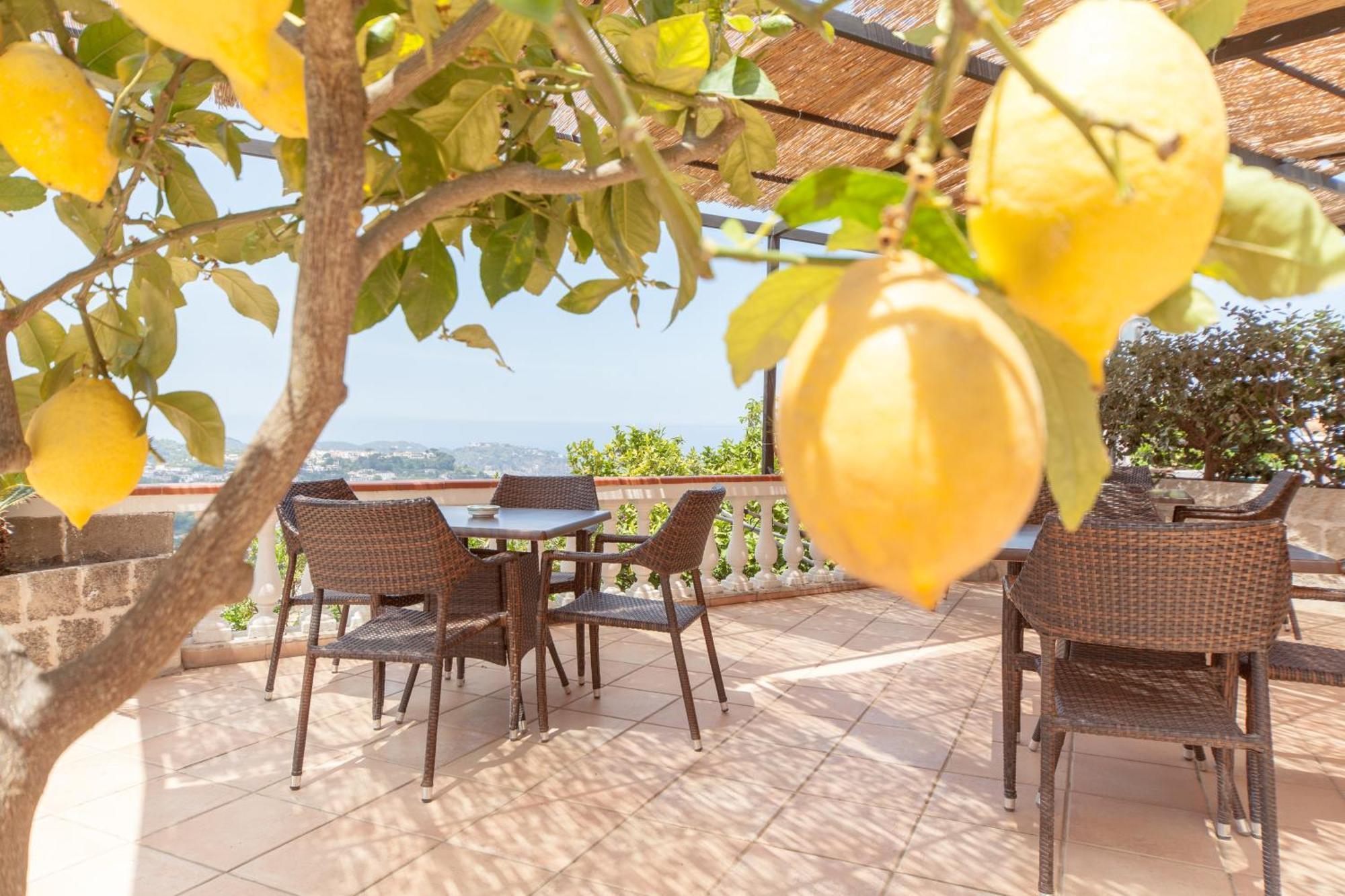 Hotel Ape Regina Casamicciola Terme Exterior photo